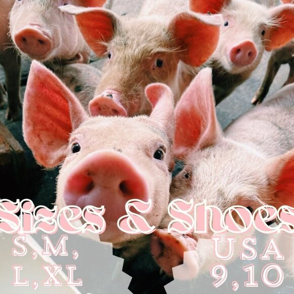 Meet your Posher, Southern Chic 737 - Picture 2 of 2